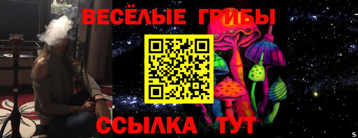 Псилоцибиновые грибы MAGIC MUSHROOMS  Вход с VPN  Воронеж  Галлюциногенные грибы ЛСД 