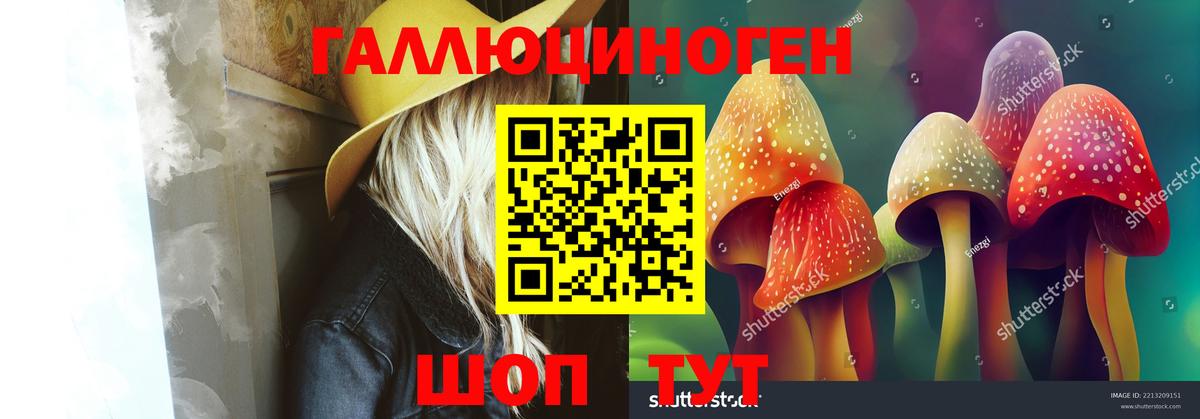 Псилоцибиновые грибы Cubensis Воронеж